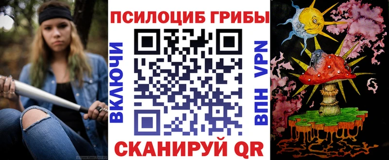 закладка  кракен   Псилоцибиновые грибы Psilocybine cubensis  Белоозёрский 